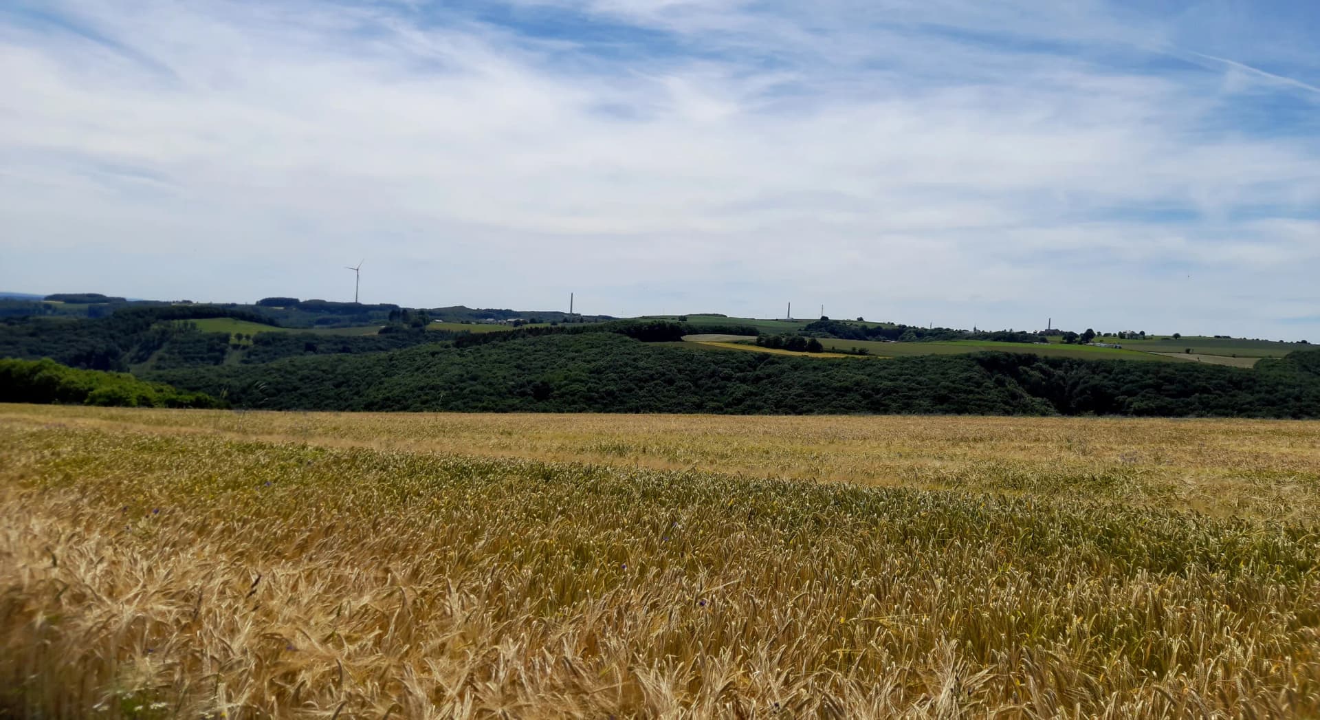 Garantie de démantèlement éolien : le montant par période