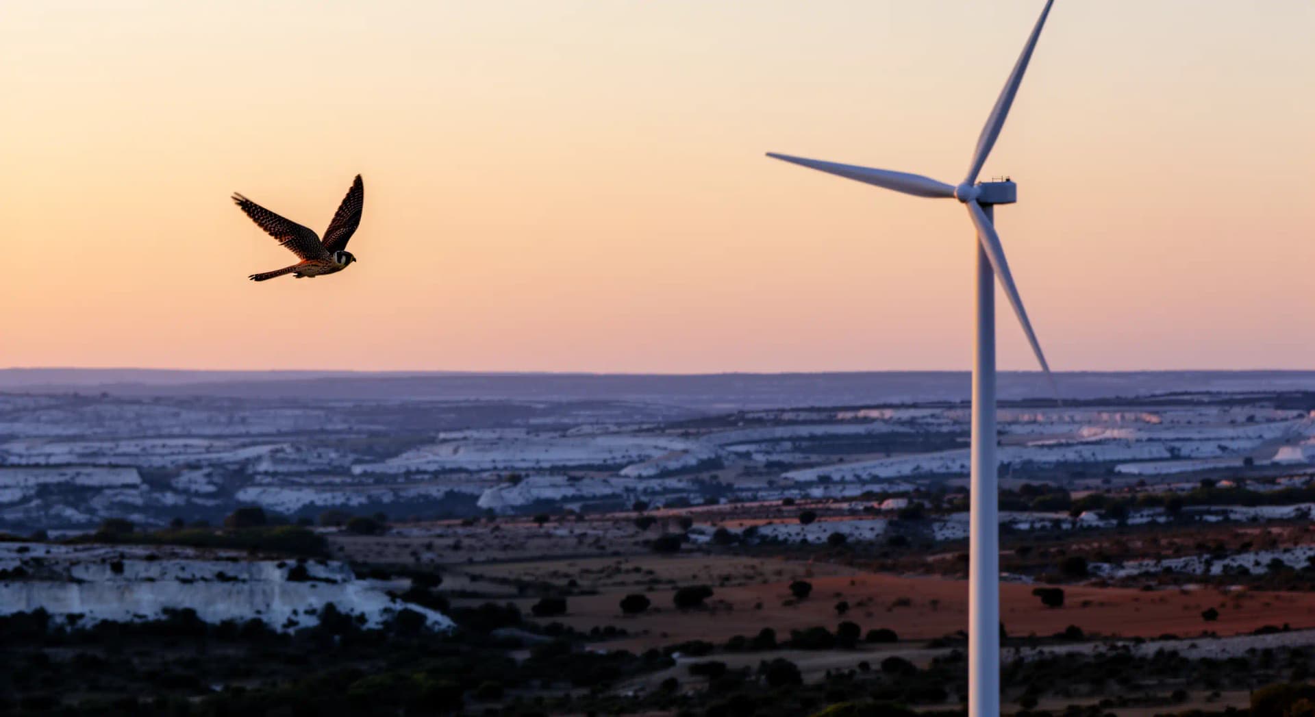 CAA Toulouse 16 avril 2026 : Aumelas à l'arrêt en journée